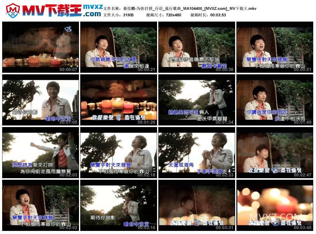 蔡佳麟-为你打拼_台语_流行歌曲_MA104400